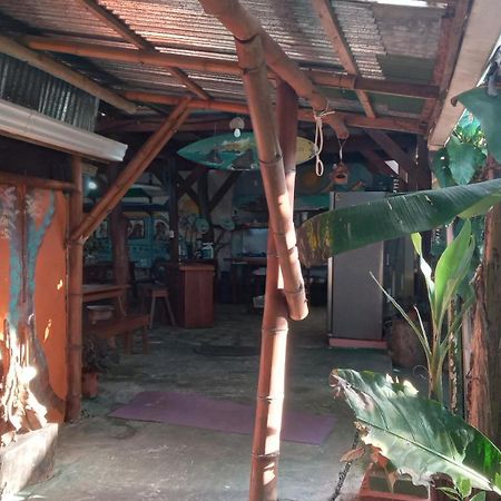 Hotel Osa Surf House Puerto Jiménez Exteriér fotografie