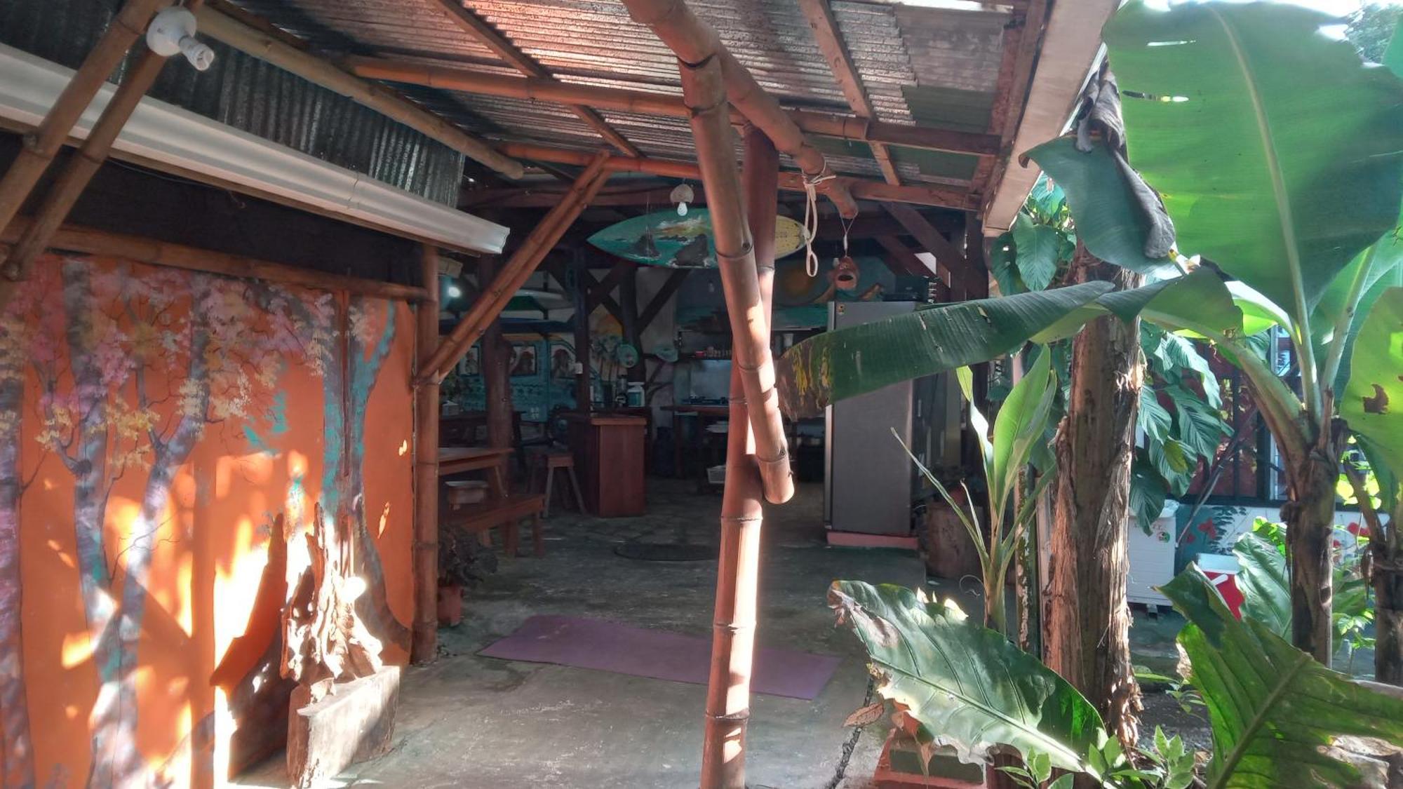 Hotel Osa Surf House Puerto Jiménez Exteriér fotografie