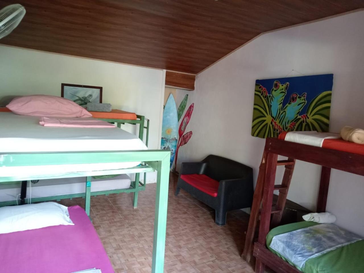 Hotel Osa Surf House Puerto Jiménez Exteriér fotografie